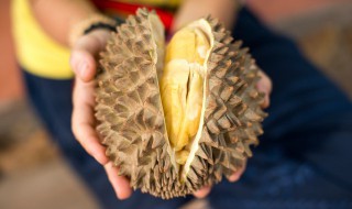 能不能一起吃榴莲和牛奶 榴莲和牛奶为什么不能一起吃