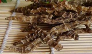 酒地龙有什么功效 酒地龙的功效与作用