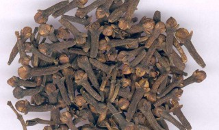 丁香的药用功效与作用有哪些 丁香的药用功效与作用