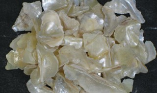 关于煅珍珠母的功效与作用 煅珍珠母的功效与作用