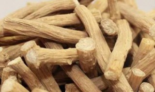 红牛膝的功效与作用简单介绍 红牛膝的功效与作用