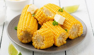 痛风能不能吃玉米 痛风可以吃玉米吗