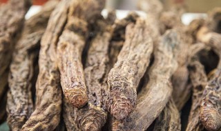 锁阳泡水喝的功效与作用介绍 锁阳泡水喝的功效与作用