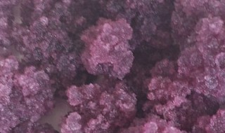 雪莲培养物的功效与作用有哪些 雪莲培养物的功效与作用