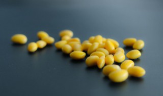 大豆磷脂有什么功效 大豆磷脂的功效与作用