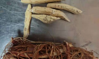 五指毛桃牛大力煲猪骨汤有什么功效与作用 五指毛桃牛大力煲猪骨汤功效与作用