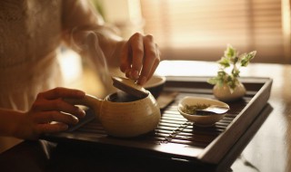 益甘茶的功效与作用简单介绍 益甘茶的功效与作用
