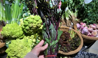 紫菜苔有哪些营养价值 紫菜苔的营养价值