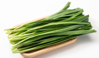 胃不好可不可以吃韭菜 胃不好可以吃韭菜吗