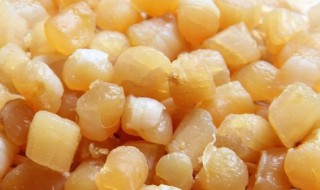 每天吃干贝行不行 干贝能每天吃吗