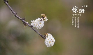 惊蛰适合食用的菜有哪些呢 惊蛰适合吃什么菜