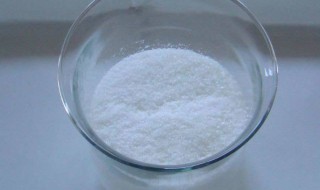 茶氨酸的功效与作用有什么 茶氨酸的功效与作用