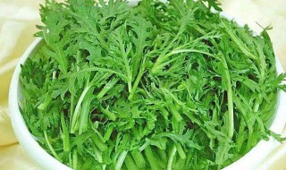 皇帝菜的功效与作用是什么 皇帝菜的功效与作用