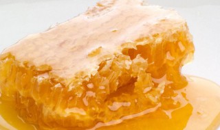 蜜蜂糖的功效与作用介绍 蜜蜂糖的功效与作用