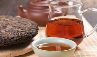 三七花怎么泡茶喝 三七花泡茶喝正确吃法