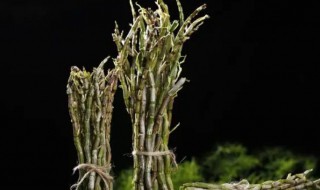 石斛煲汤要泡水吗 石斛煲汤要提前泡水吗