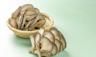 蘑菇隔夜可以食用吗 蘑菇隔夜能吃吗