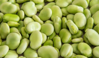 蚕豆和哪些食物相克 蚕豆与什么不能一起吃