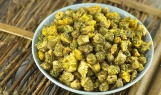 胎菊花茶怎样喝 胎菊花茶如何喝