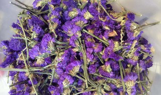 勿忘我花茶的主要功效有哪些 勿忘我花茶的主要功效与作用