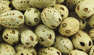 五眼茶果的功效有哪些 五眼茶果有什么功效