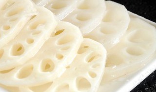秋季吃莲藕有什么用 秋季吃莲藕怎么样