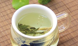 苦丁茶功效介绍 喝苦丁茶可以去火吗
