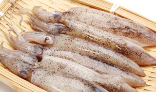 鱿鱼禁忌与什么一起吃 鱿鱼不能与什么一起吃