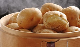 土豆皮发绿不能食用对吗 土豆皮发绿能吃吗