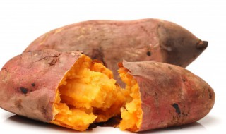 红薯发芽了能不能进行食用呢 红薯发芽了能吃吗
