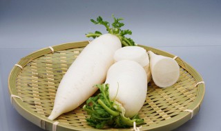 白萝卜有什么作用与功效 白萝卜的作用与功效
