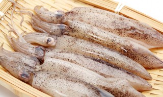 鱿鱼丝有什么功效与作用 鱿鱼丝的功效与作用