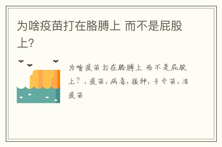 而不是屁股上 为啥疫苗打在胳膊上