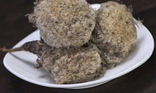 藏雪莲的功效简介和食用方法 藏雪莲的功效与作用及食用方法