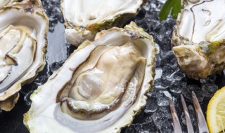 牡蛎的功效和吃法简介 牡蛎的功效与作用及食用方法