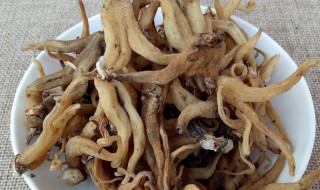 佛手参的功效与作用及食用方法是啥 佛手参的功效与作用及食用方法