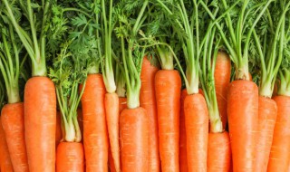 胡萝卜素高退黄的方法 胡萝卜素高怎么退黄