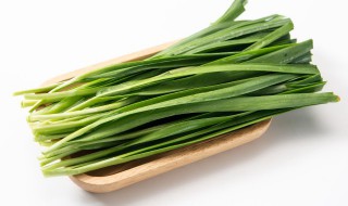 韭菜和牛奶相关介绍 韭菜和牛奶能一起吃吗
