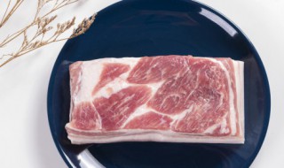 炖猪肉软烂松软不柴的方法 炖猪肉怎样才能软烂松软不柴