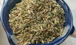茴香籽的功效与作用和食用方法 茴香籽的功效与作用及食用方法