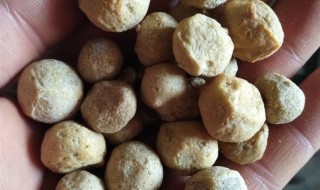 阿胶珠有哪些功效与作用及食用方法 阿胶珠的功效与作用及食用方法