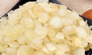 雪连子的功效与食用方法是怎样 雪连子的功效与食用方法