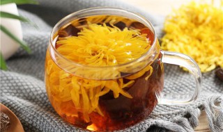 胖大海菊花茶禁忌简单介绍 胖大海菊花茶禁忌