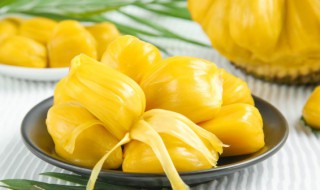 大树菠萝饮食禁忌 什么人不宜吃大树菠萝