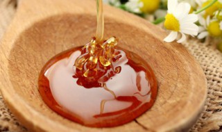 豆腐和蜂蜜可以一起吃吗 豆腐和蜂蜜一起吃会怎样