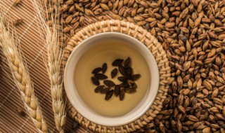 燕麦茶的功效与作用及食用方法有什么 燕麦茶的功效与作用及食用方法