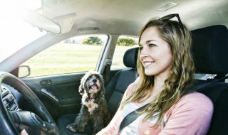 新款奥迪q7鼓风机拆卸步骤 奥迪q7混动鼓风机拆卸步骤