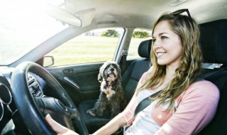 奥迪q5更换改进型废气阀好吗 奥迪q5废气阀怎么分别是坏的