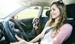 11款奥迪a6蓝牙在哪里 10款奥迪a6蓝牙在哪