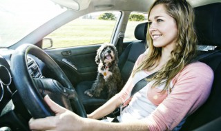 奥迪q7中控怎么重启 奥迪q7中控怎么关机